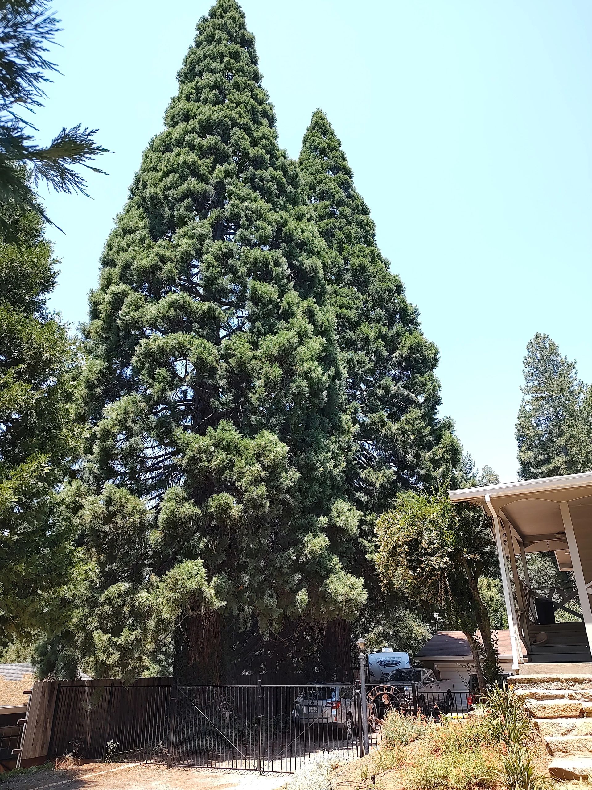 top-rated-appraisers-near-me-big-cedar-appraisal-services